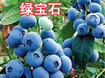 GʯI(yng)B(yng)磩